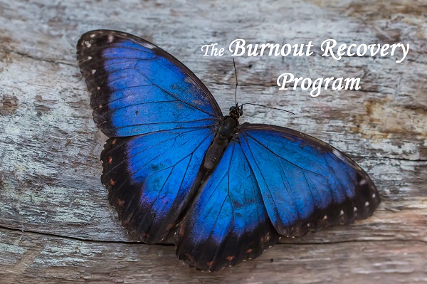 burnout recovery program